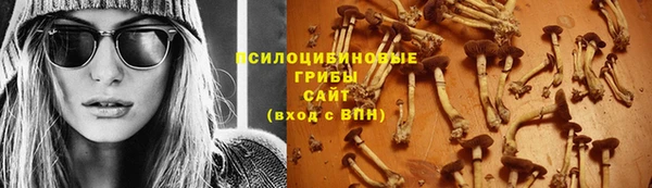 мет Белокуриха